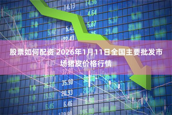 股票如何配资 2026年1月11日全国主要批发市场猪皮价格行情