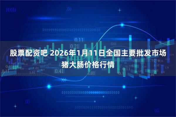 股票配资吧 2026年1月11日全国主要批发市场猪大肠价格行情