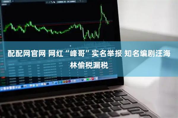 配配网官网 网红“峰哥”实名举报 知名编剧汪海林偷税漏税